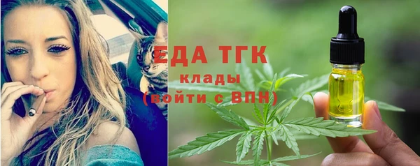крисы Ельня