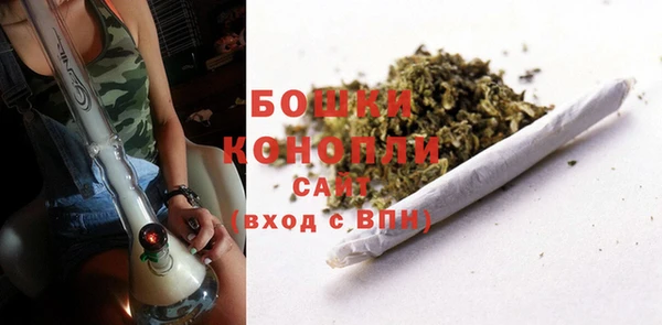 гашик Елизово