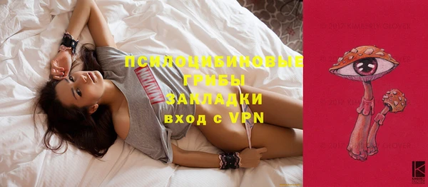 крисы Ельня