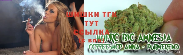 гашик Елизово