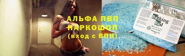 крисы Ельня