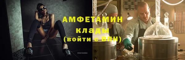 крисы Ельня