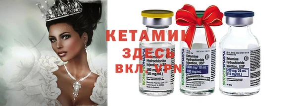 крисы Ельня