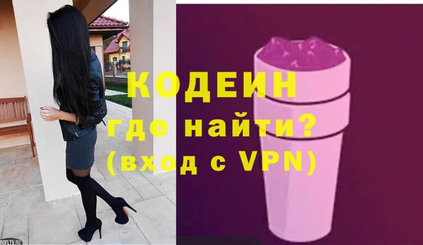 крисы Ельня
