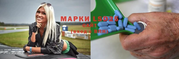 гашик Елизово