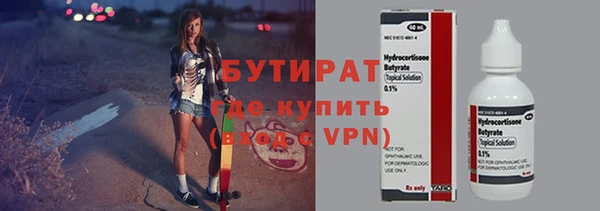 крисы Ельня