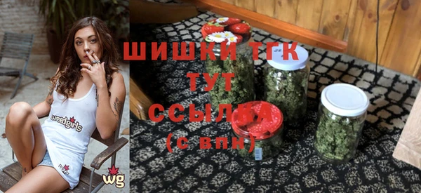 гашик Елизово