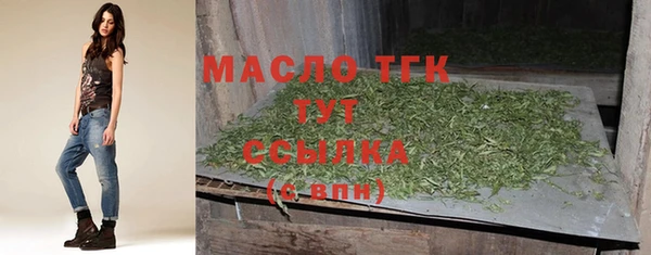 крисы Ельня