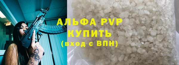 крисы Ельня